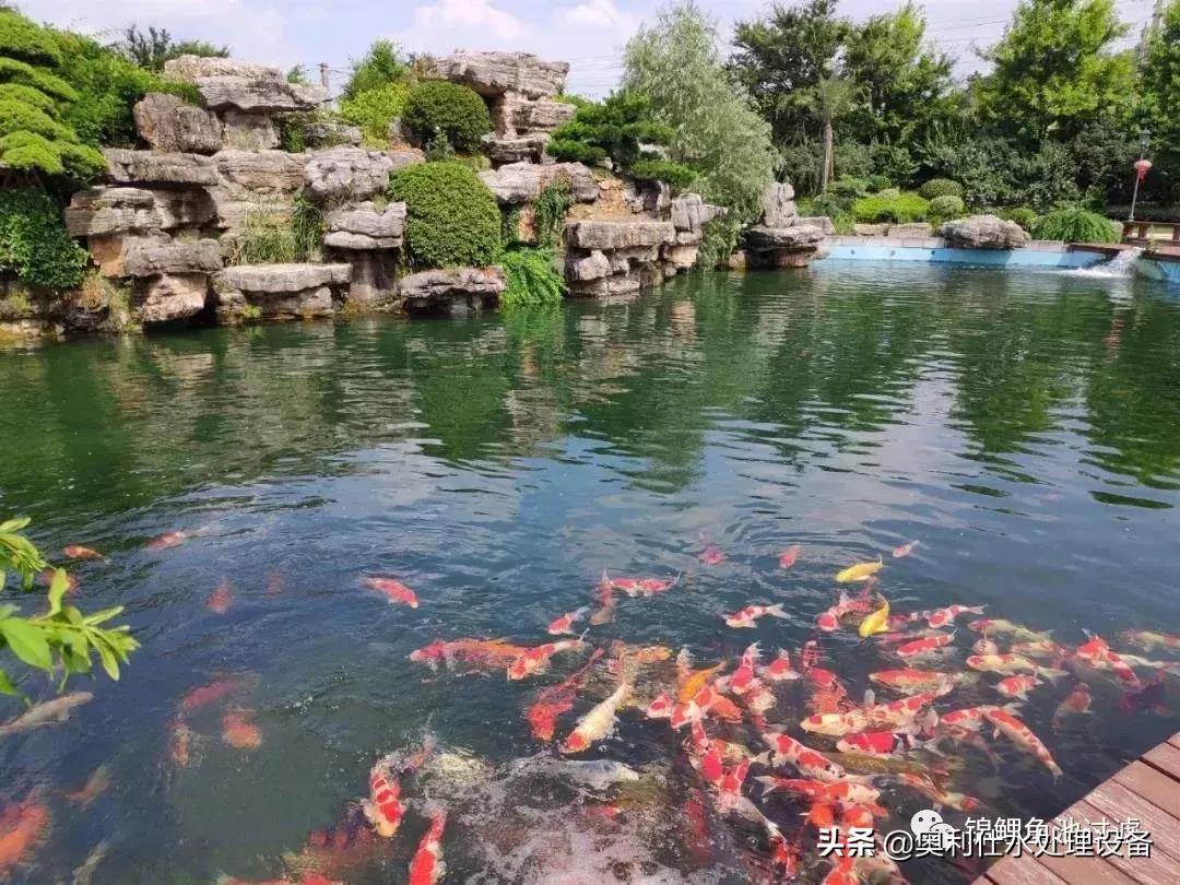 锦鲤鱼池过滤仓建造过程视频,锦鲤鱼池最好的过滤方式