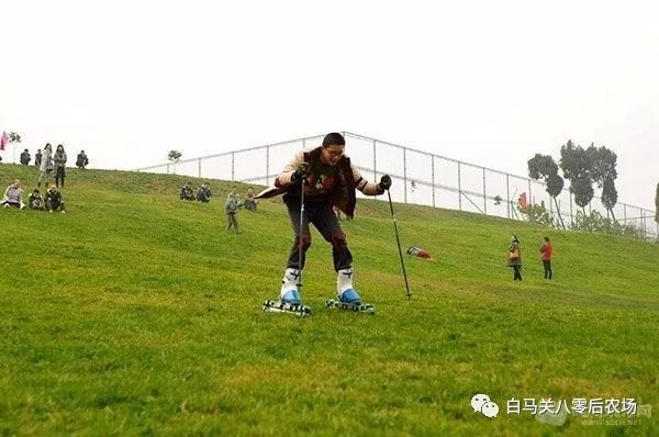 罗江赏梅花,罗江的礼物去哪买