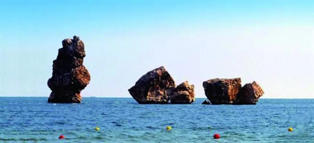 沈阳市新闻12月5日,沈阳新闻15日微博