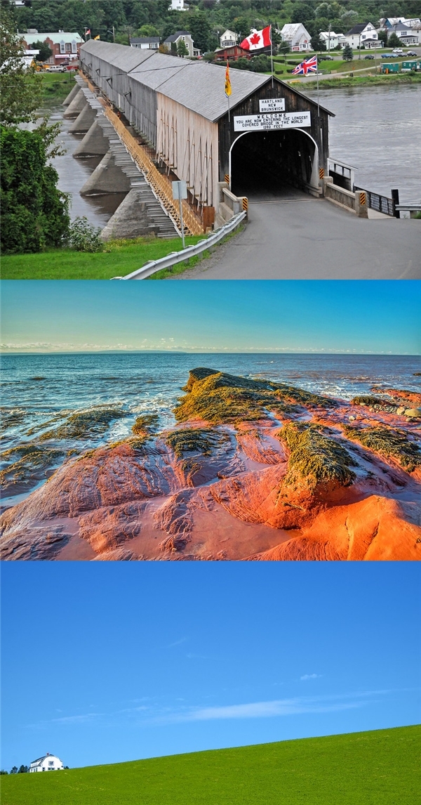 兆龙移民的优势,兆龙移民政策