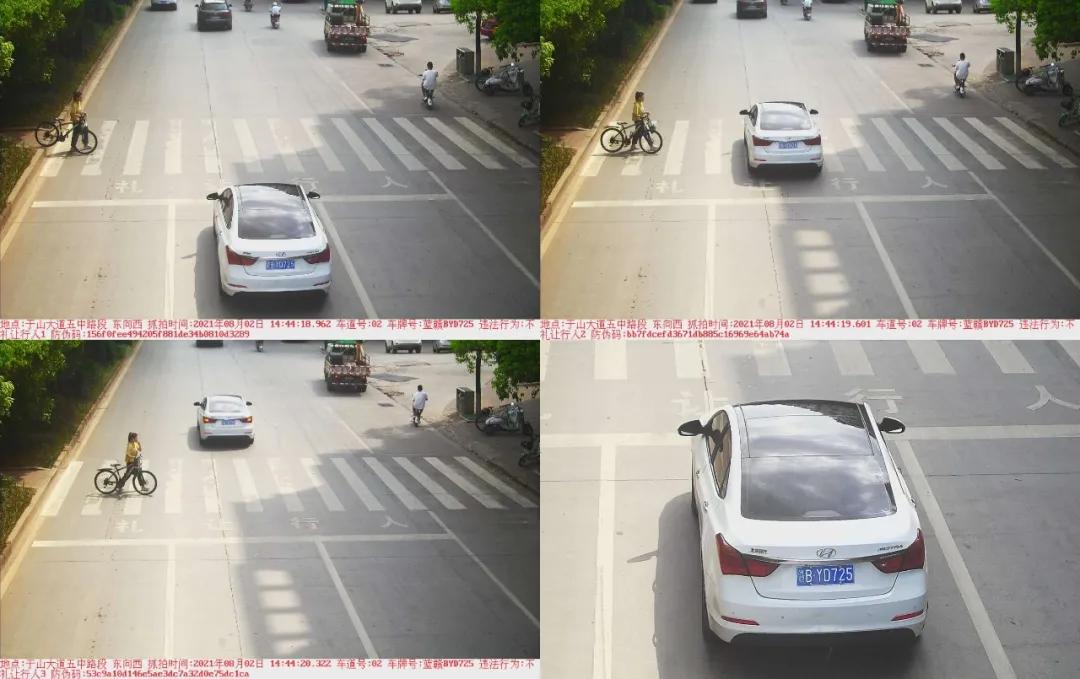 于都礼让行人上哪里举报,于都五中不礼让行人抓拍