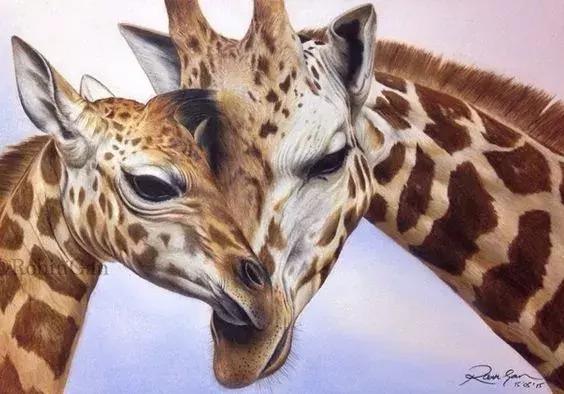 彩铅如何画得非常细腻,彩铅画的很好看零基础