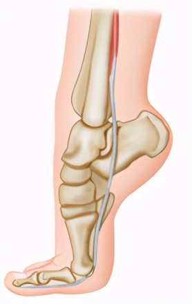 动作学院课程,动作学院体能培训