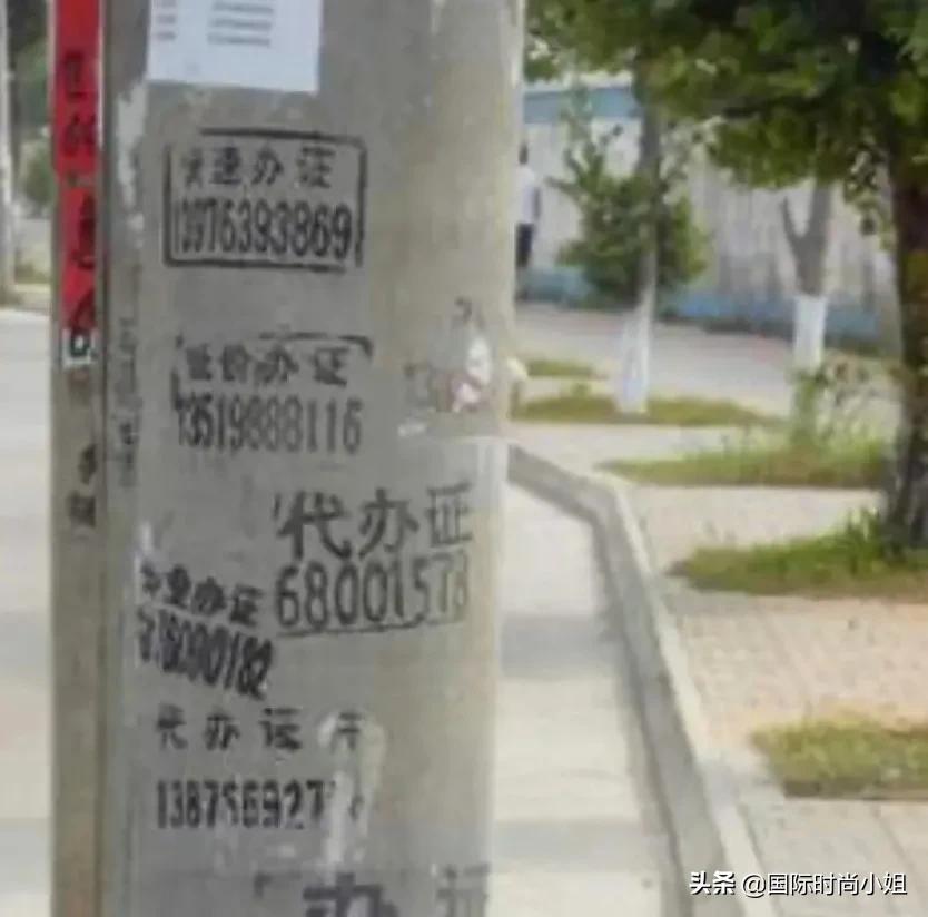 老纪是个什么人物,一个历史上的传奇人物