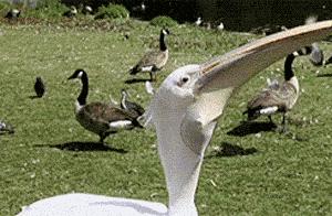 11张照片告诉你大自然的可怕,大自然细思极恐的照片