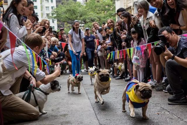 环球港5月1日至5月5日的活动,环球港5月1号有什么活动