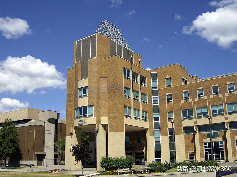 为什么选择加拿大温莎大学？