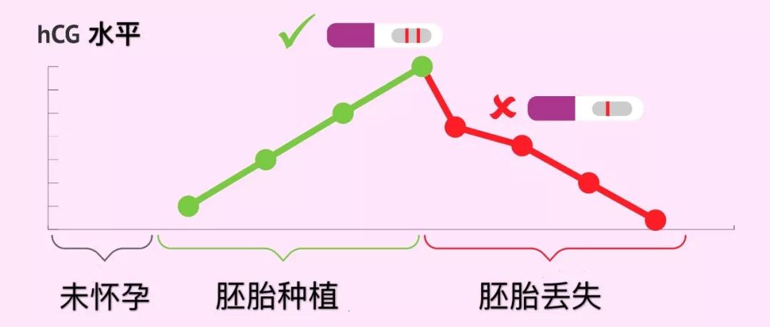 早孕期hcg从6周一直下降,孕早期hcg才50孕酮27