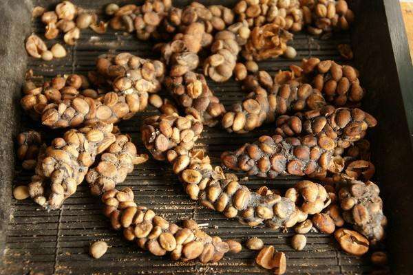 最贵的咖啡猫屎咖啡,最贵猫屎咖啡10万