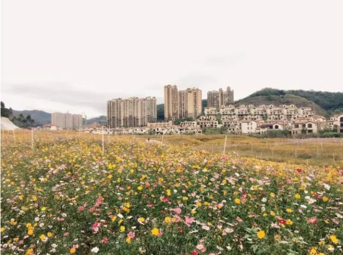 惠州富力温泉养生谷,惠州富力南昆山温泉养生谷