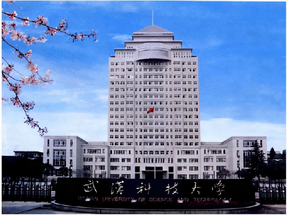 武汉成人大专院校有哪些,武汉有哪些正规成人技术学校