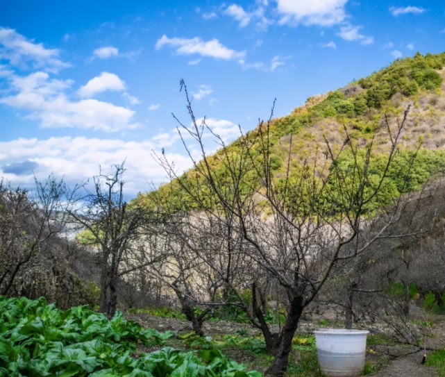 真实版“世外桃源”：六口之家与世隔绝，被发现时没有户口