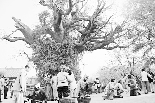 洪洞大槐树迁出的姓氏有田氏吗,洪洞大槐树迁出的姓氏有云南的吗