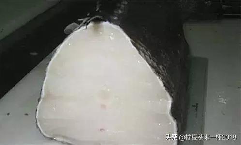 银鳕鱼如何挑选,法国银鳕鱼挑选技巧