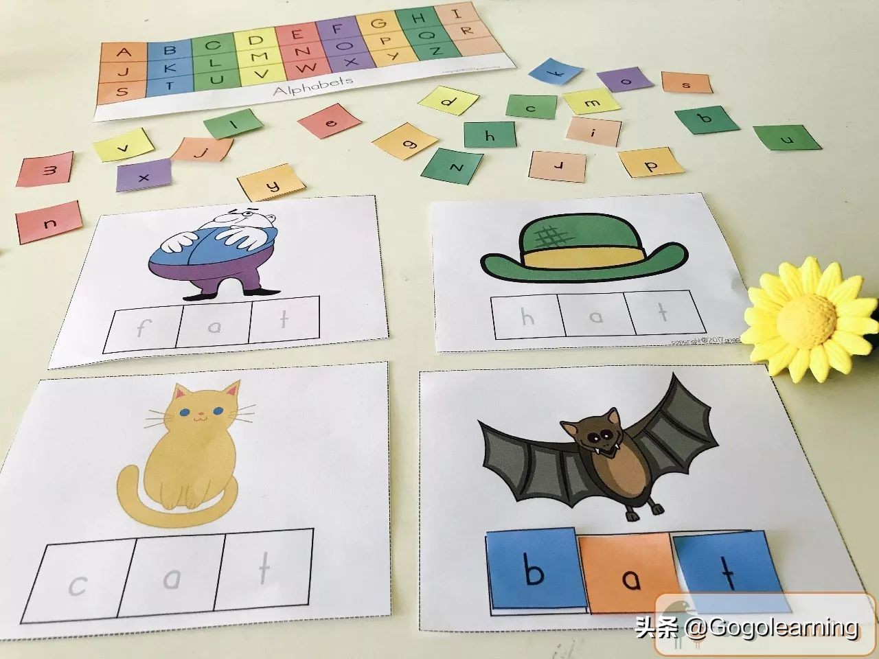 自然拼读入门cvc是什么,cvc和自然拼读有什么区别