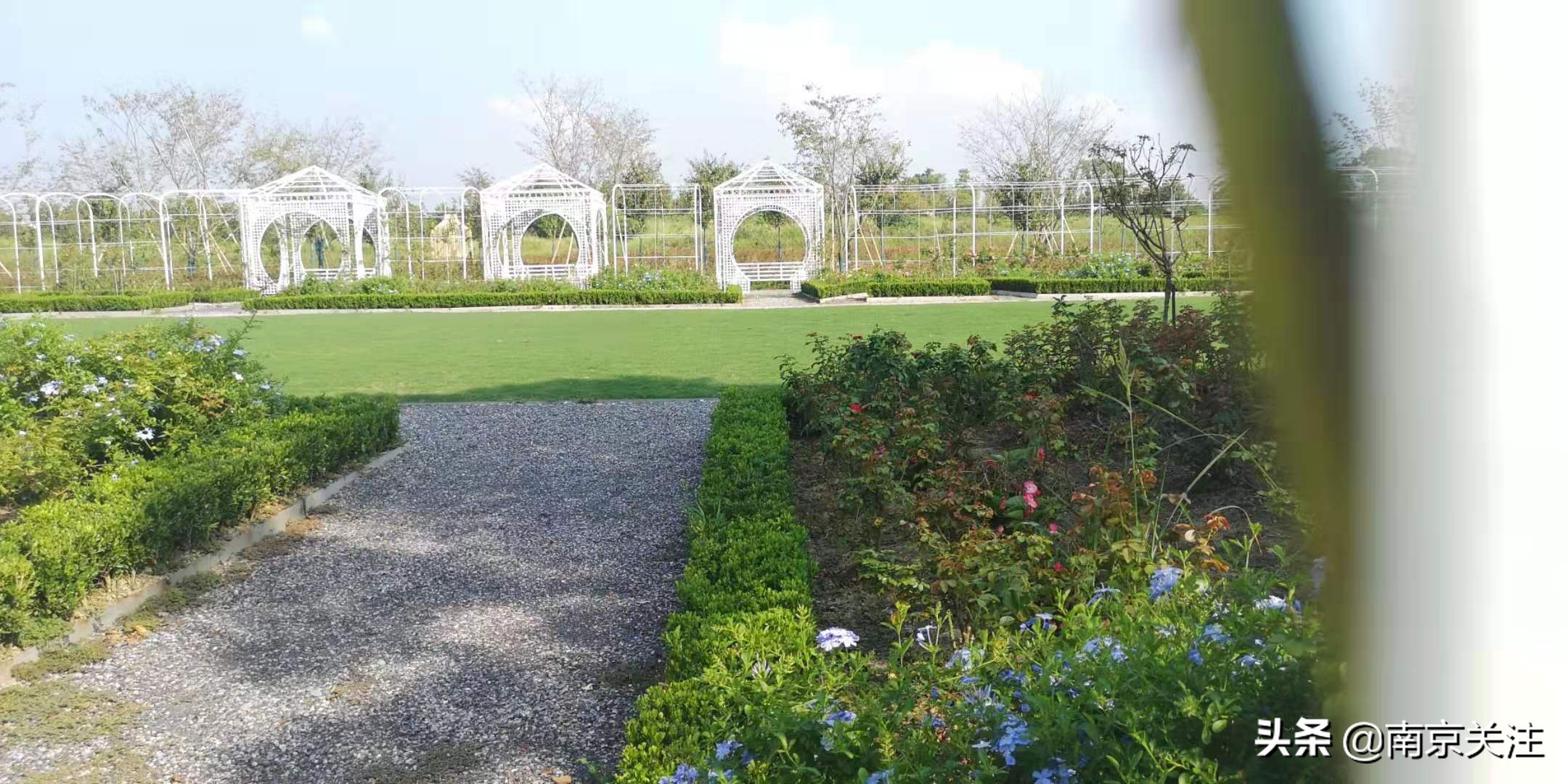 溧水三叶梦华苑有哪些好玩的地方,溧水三叶梦华苑秋天看什么