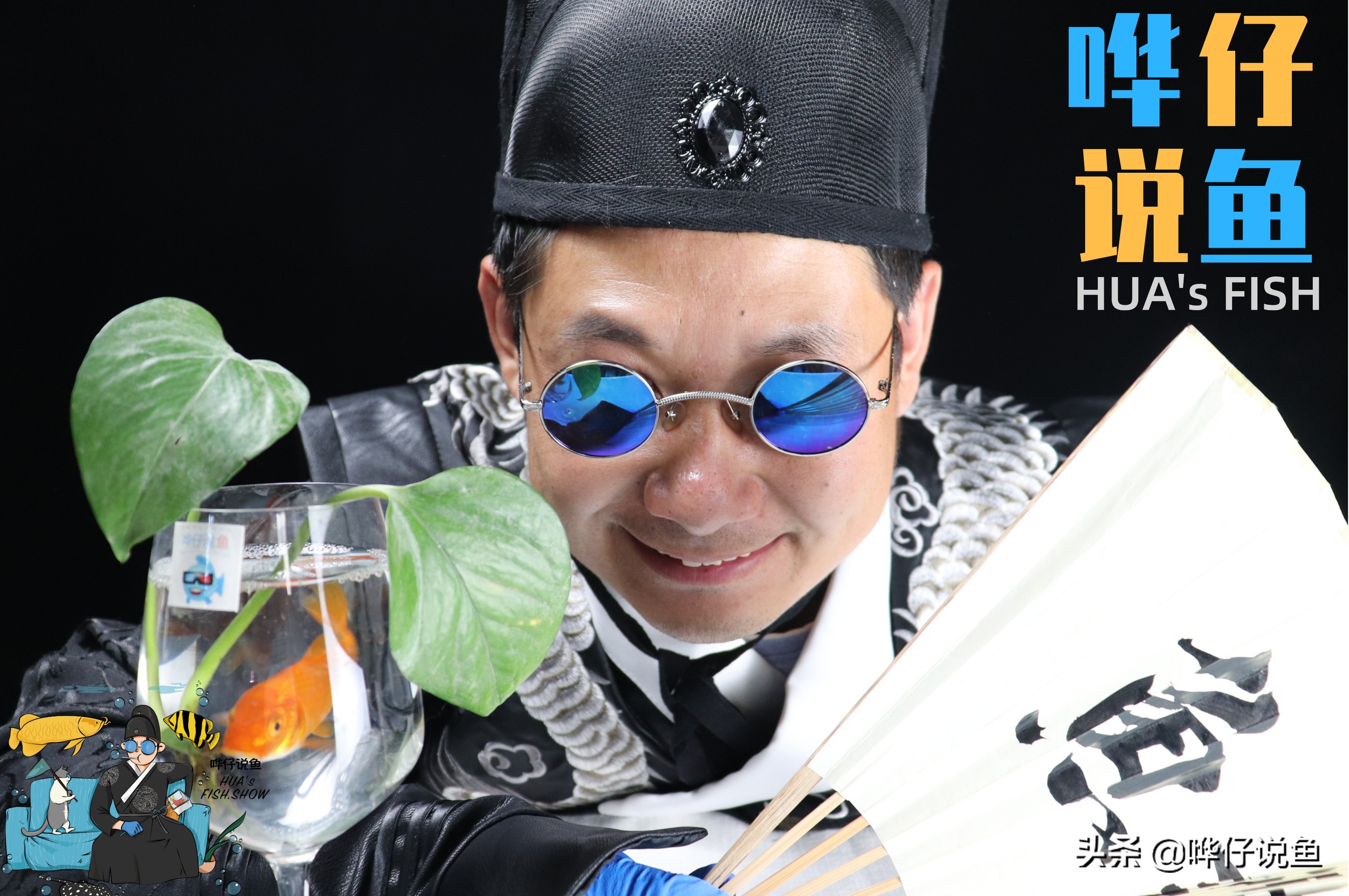 恕我直言，翻滚滤材的出现，是我国观赏鱼行业的一次*退倒**