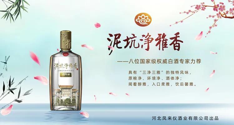 泥坑酒净雅香,泥坑酒净雅香55度