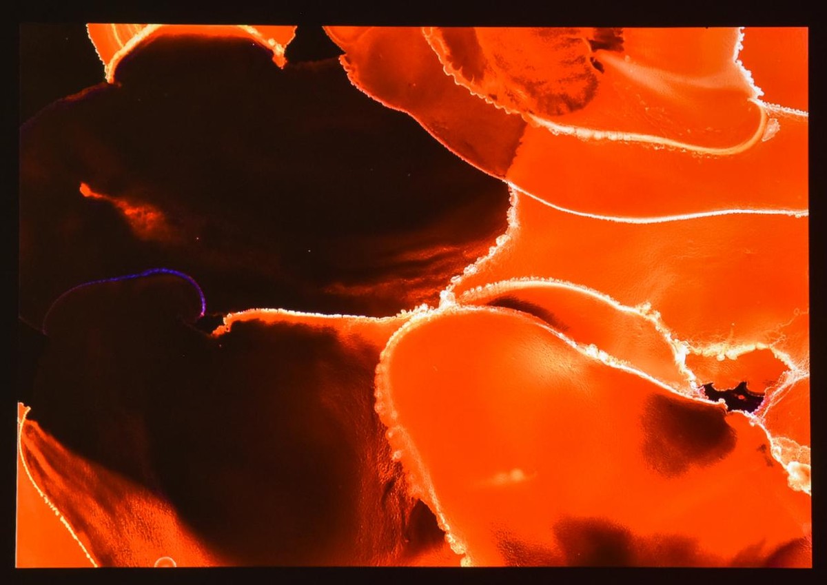 明基e592投影仪配什么幕布,明基e562投影仪