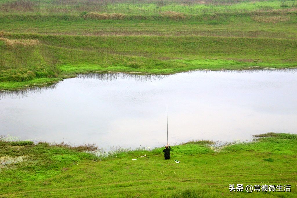 常德丹洲大草原介绍,丹洲草原风景