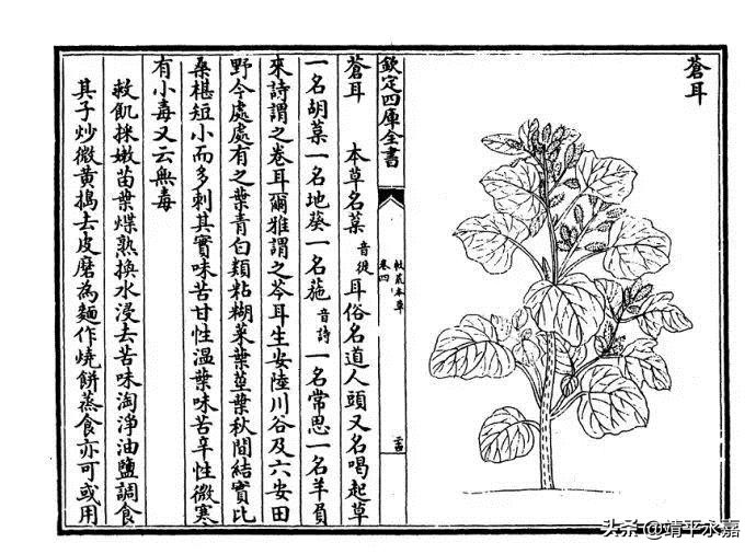 古代没钱的人是怎么生活的,古代人穷的只剩钱