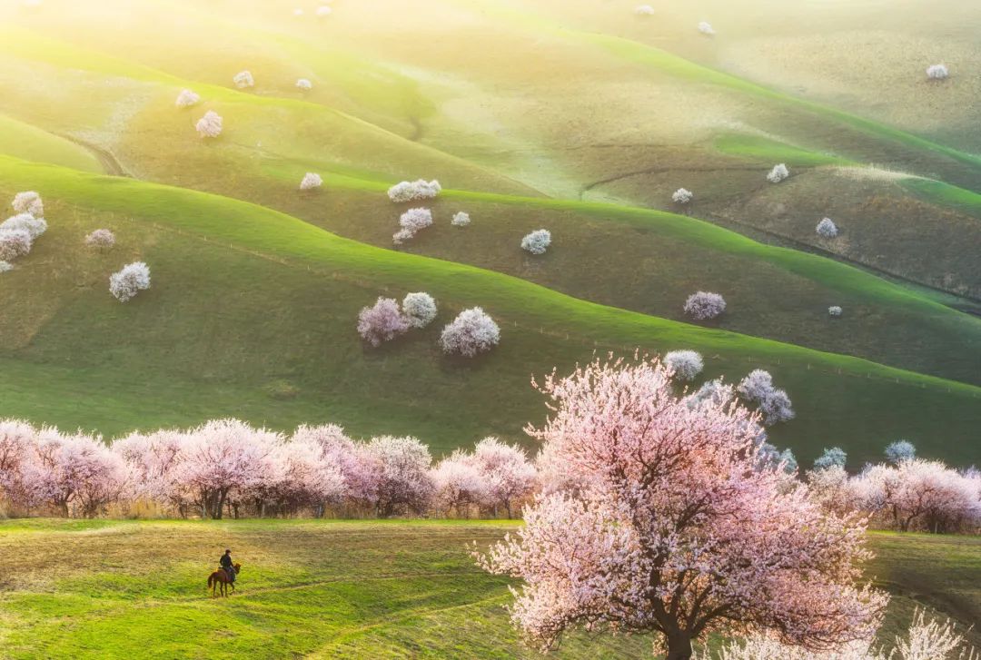 hm耐克阿迪,hm耐克优衣库阿迪达斯