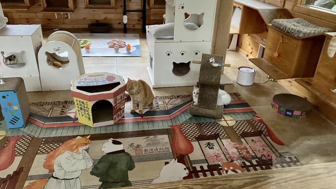 浣犺兘鐚滃嚭璋佺畻鎴戣緭,浣犵寽寰楀嚭鏉ョ畻鎴戣緭