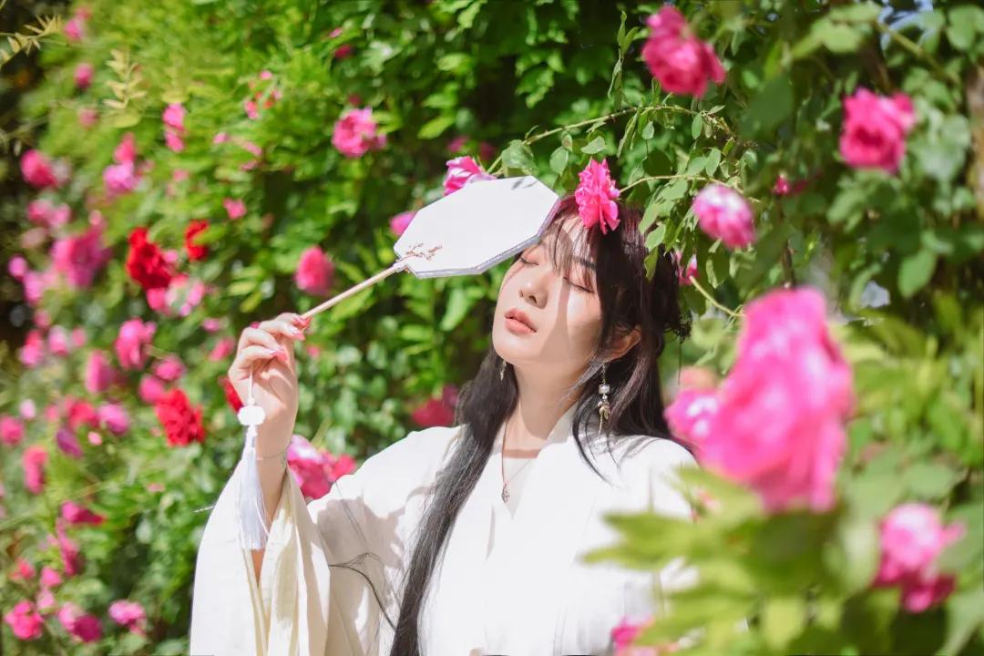 又刷屏了！高新这片花海，惊艳你的朋友圈！