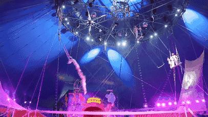 最近小长假,小长假里的最新消息