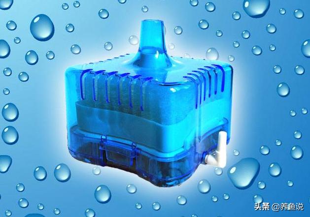 养小型观赏热带鱼需要多大鱼缸好,大型下过滤鱼缸养小型热带鱼