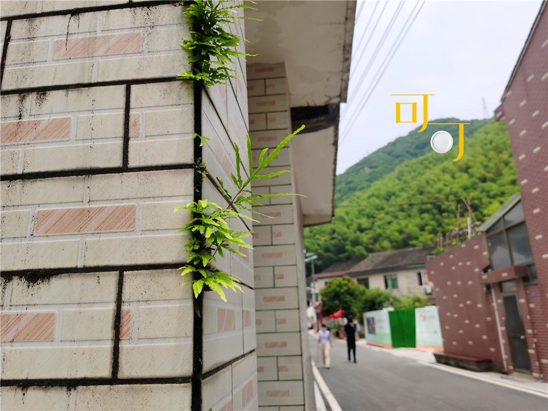 东钱湖湖畔人家农家乐,东钱湖下午茶和农家菜