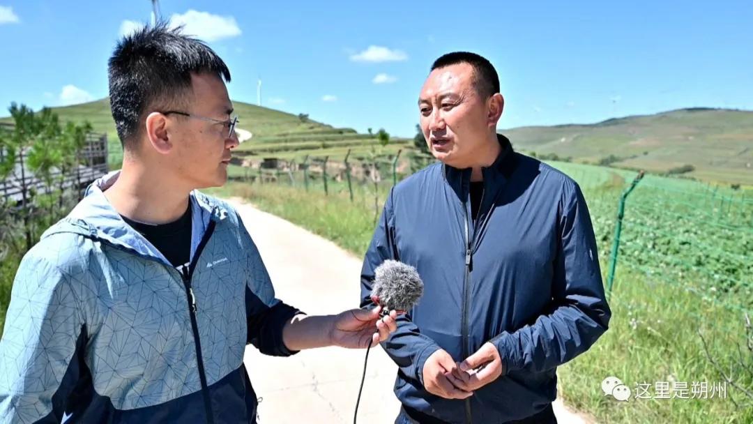 朔州平鲁区产业,荞麦加工与产品开发新技术