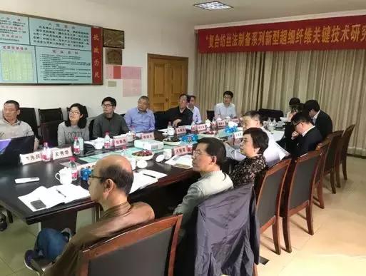 差别化聚酯纤维,聚酯纤维最新项目