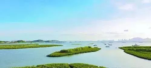 厦门上榜新一线,厦门进入一线