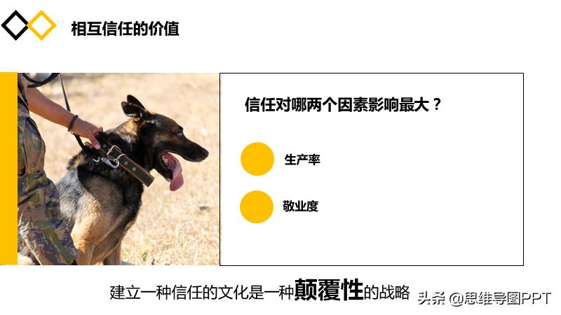 海豹突击队十大黄金法则,海豹突击队法则