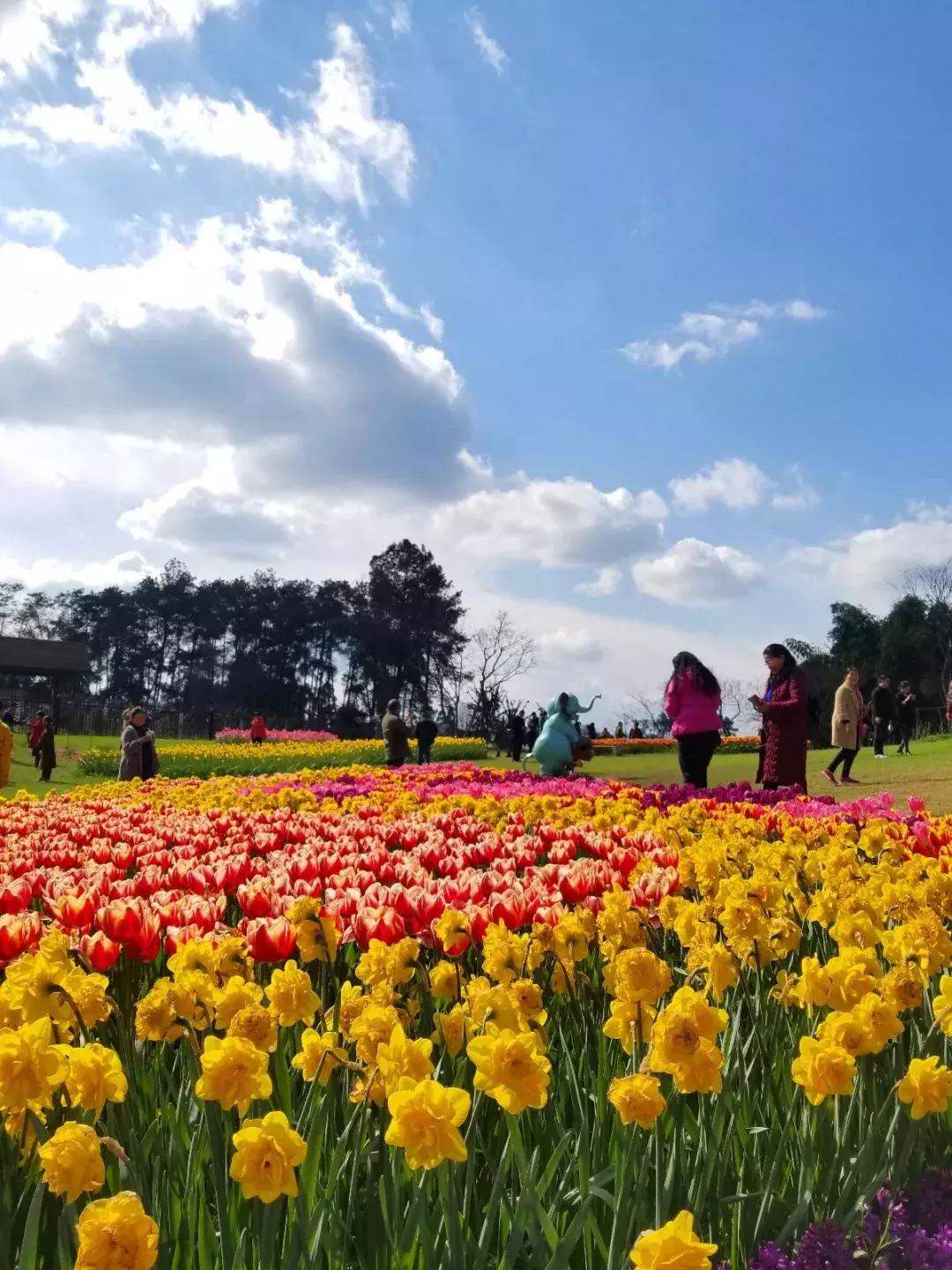 美丽中国一起去看流星雨,美丽中国一起走背面视频