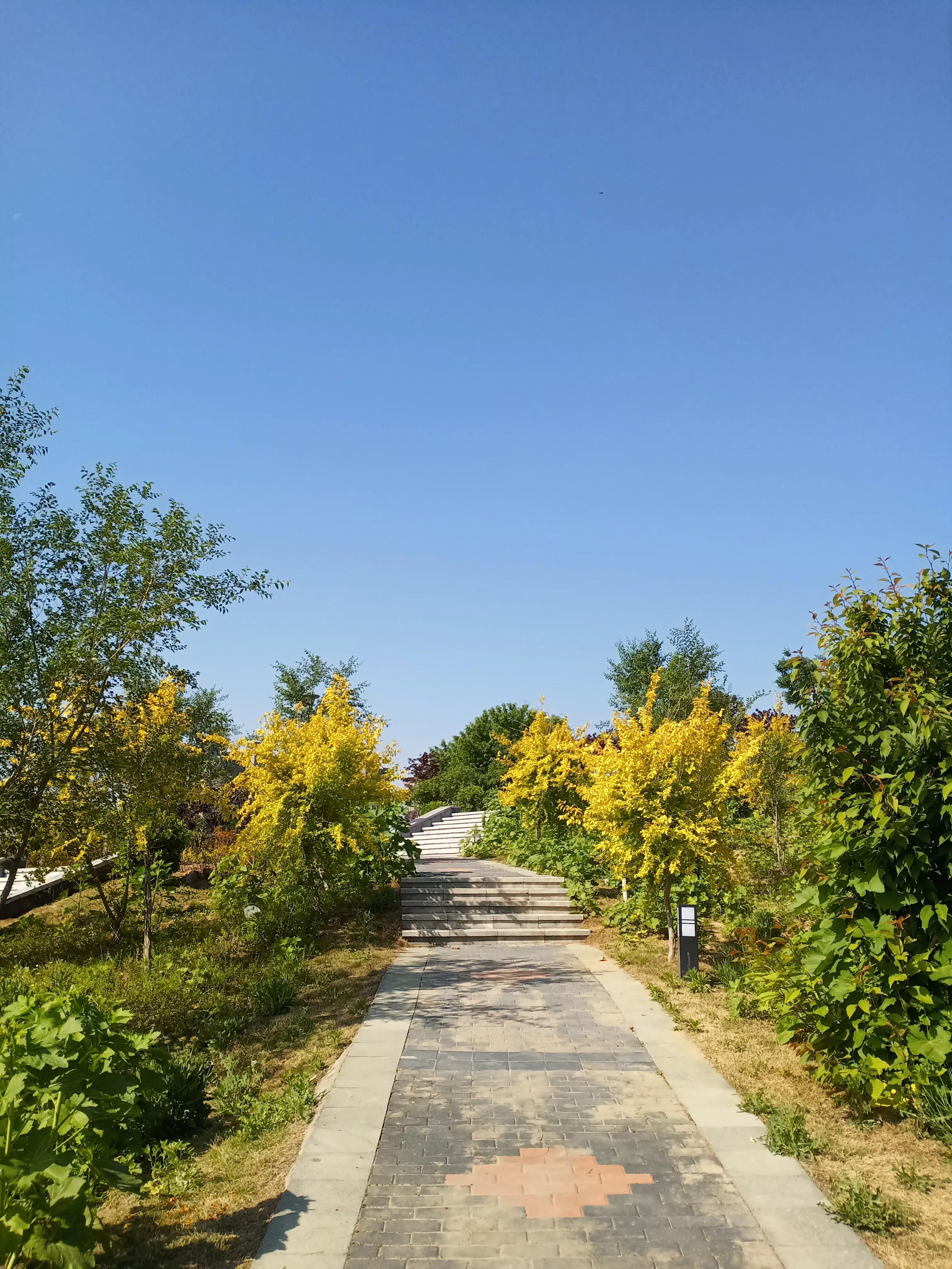 濮阳龙山公园有啥好玩的,濮阳龙山公园在什么地方