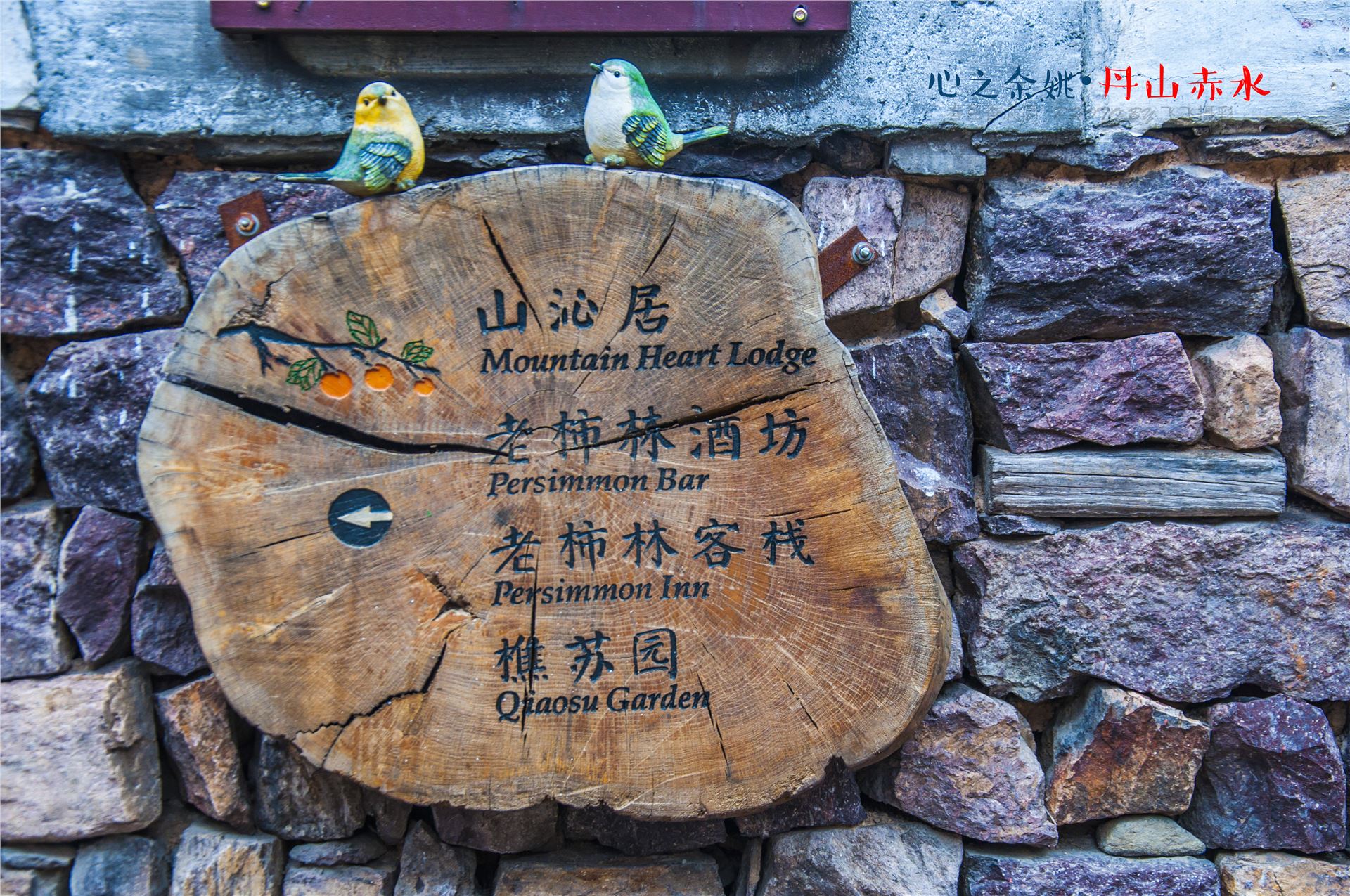 丹山赤水的老柿林景区,丹山赤水柿林古村