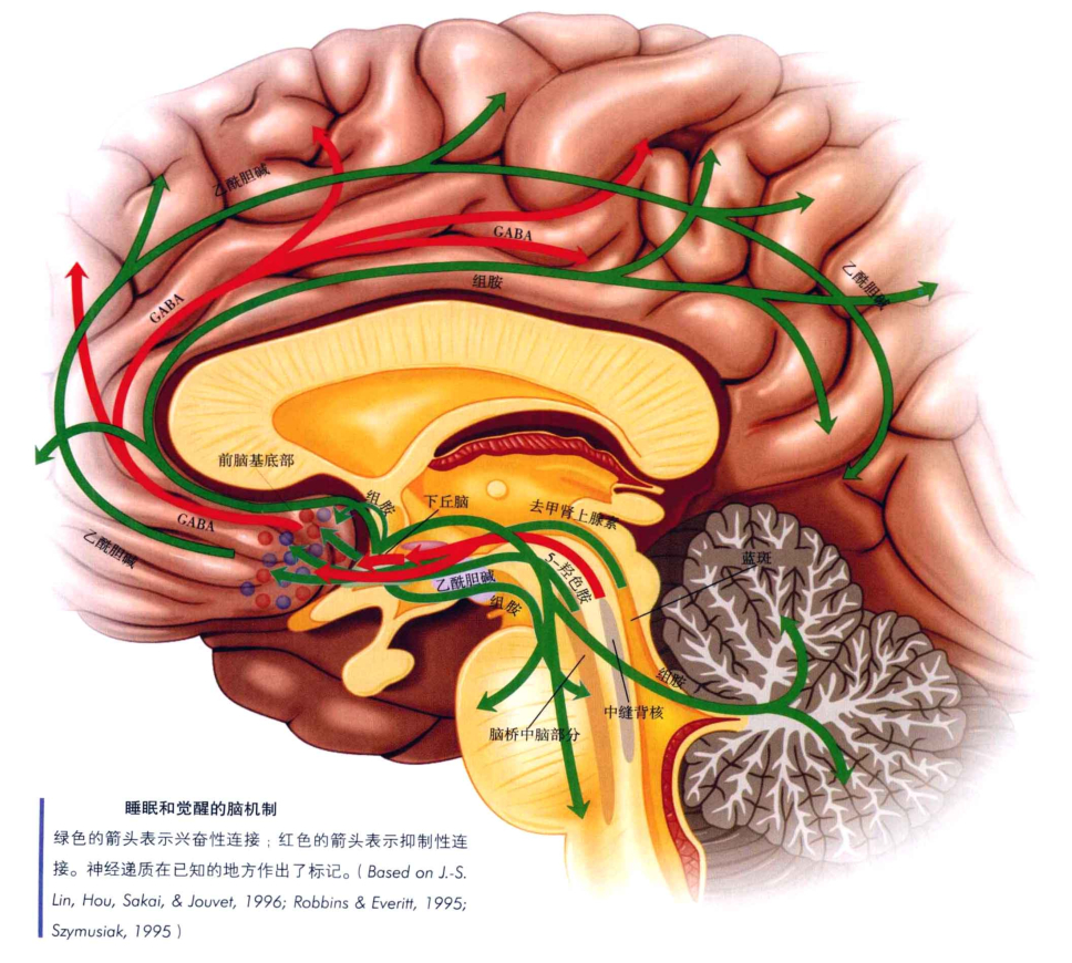 心理学的生物学基础知识,生物心理学知识书籍