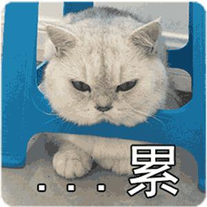 iphone终于用上了6g运存,iphone对比安卓不能用的功能