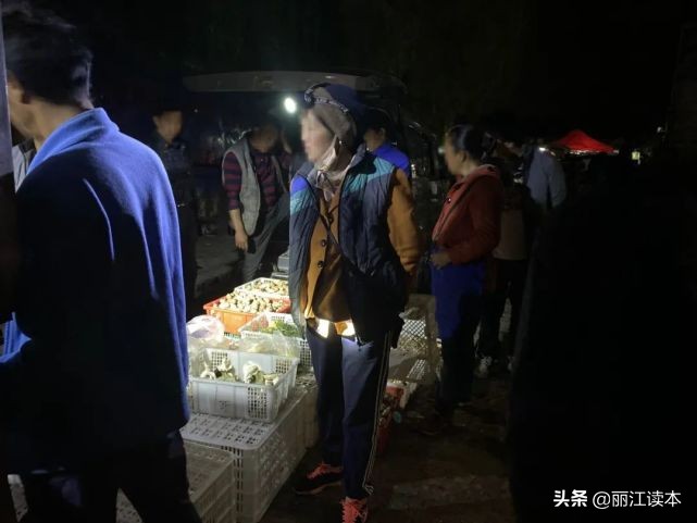 疯狂的松茸,疯狂的野生菌