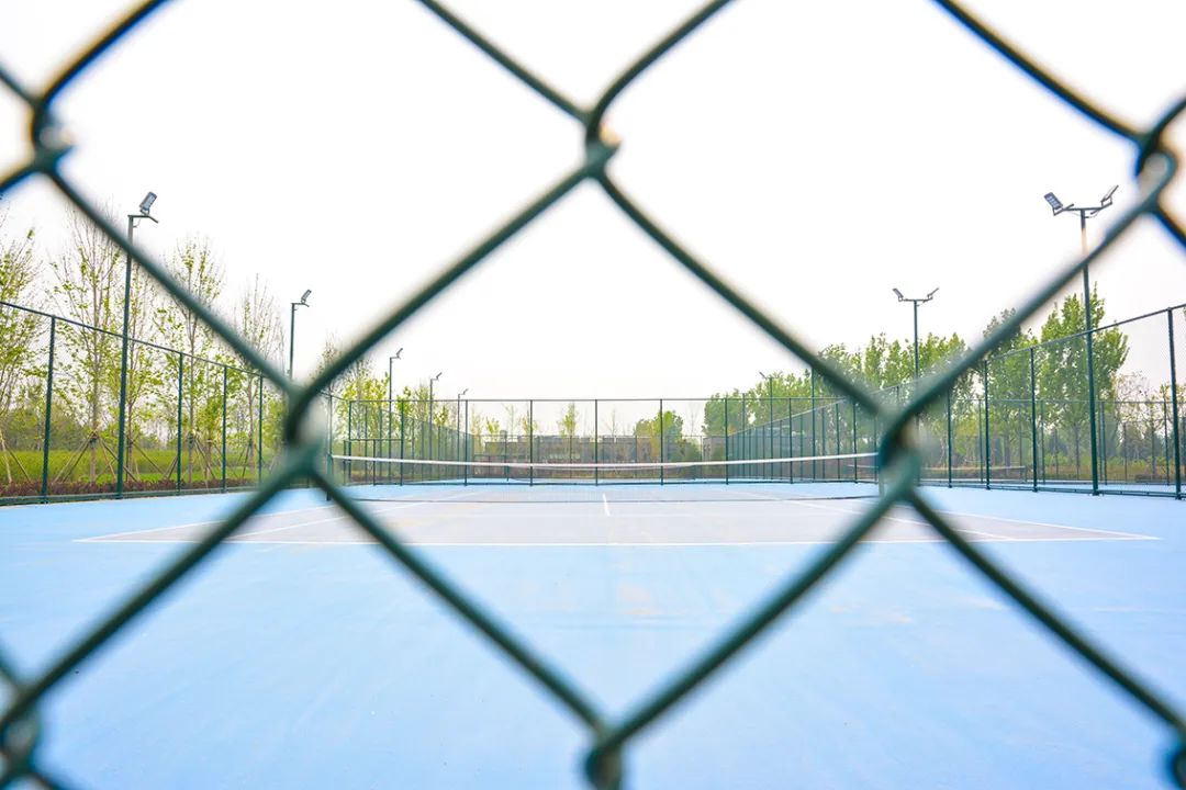 春意盎然北京五大公园,北京区级综合性公园