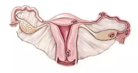 卵巢早衰来势汹汹？这5点是早衰“信号灯”，女性快自查