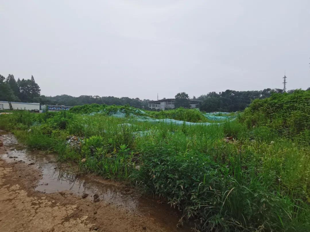 魔法森林不魔法，城北大型商综就这么没动静了？