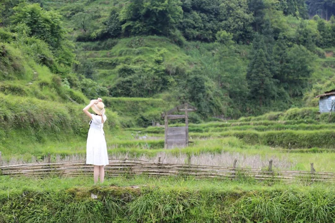 贵州黄岗侗寨优美视频,黄岗侗寨全景视频