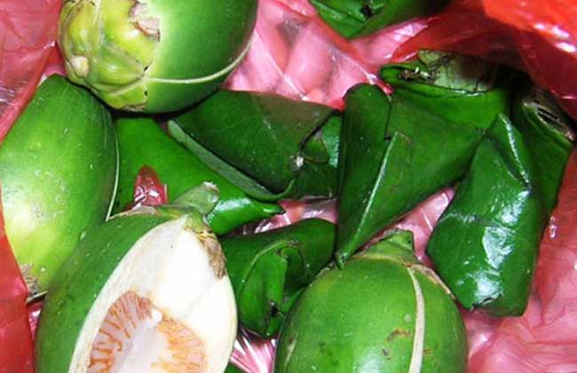 槟榔吃多了有哪些害处,槟榔吃多了对身体有什么危害吗