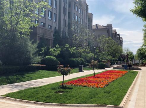 10年如一日，北京这些老小区“青春常驻”