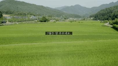 韩国主妇治愈生活,韩国主妇带着婴儿做家务