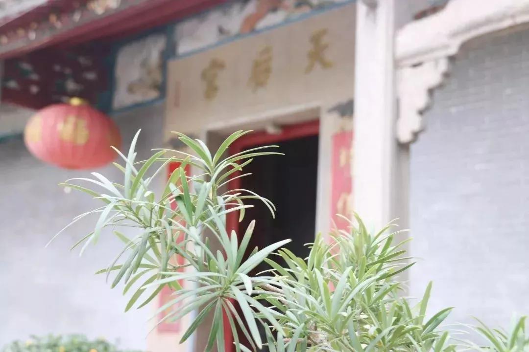 鼓浪屿必去的海岛,珠海坐船去鼓浪屿