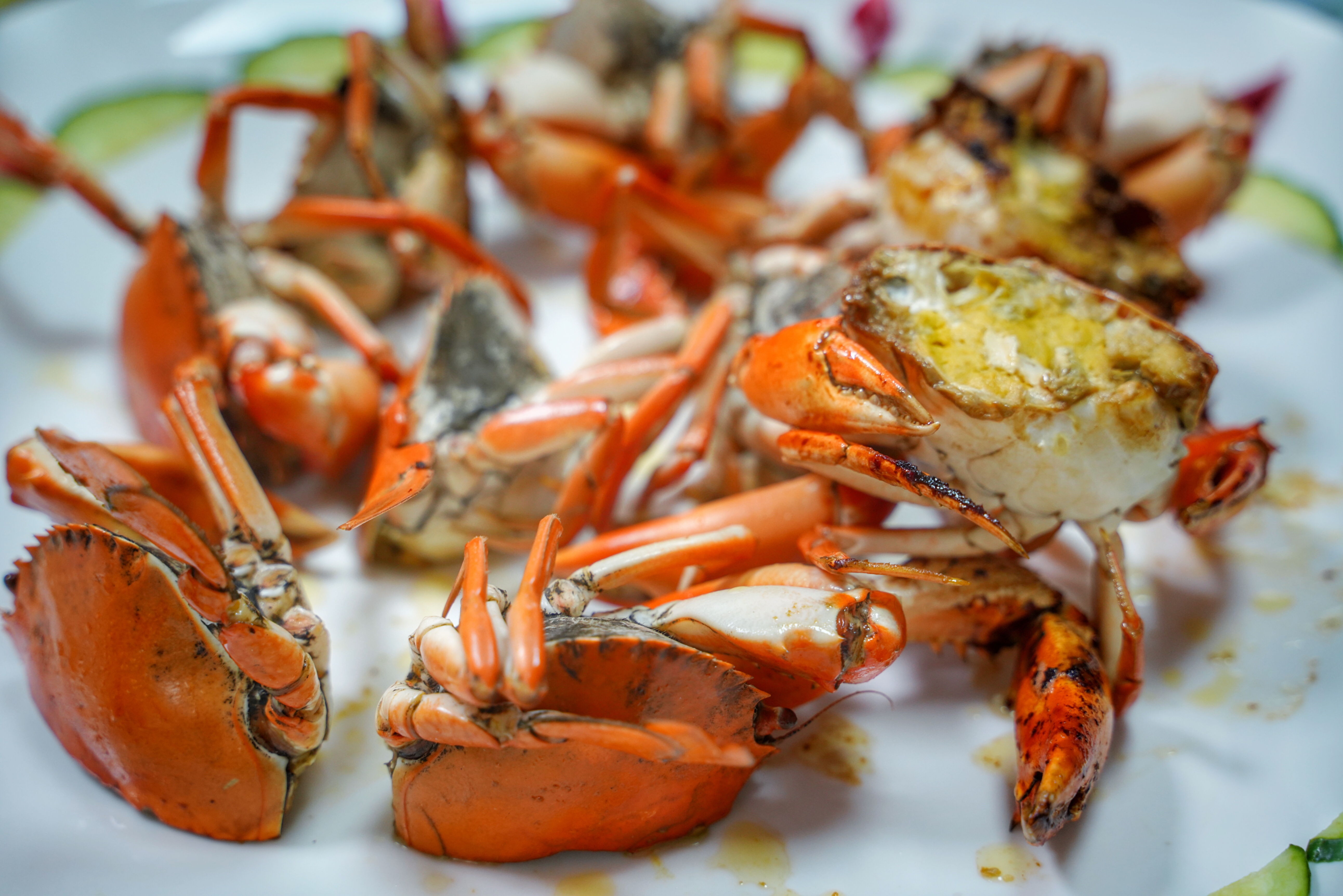 本地人都知道的海鲜大排档,都说来过还想再来